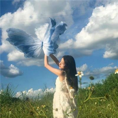 本阵杀人事件