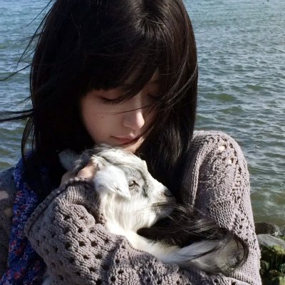 没头脑和不高兴