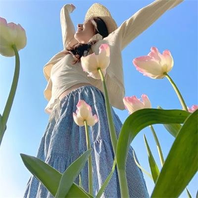 武映三千道